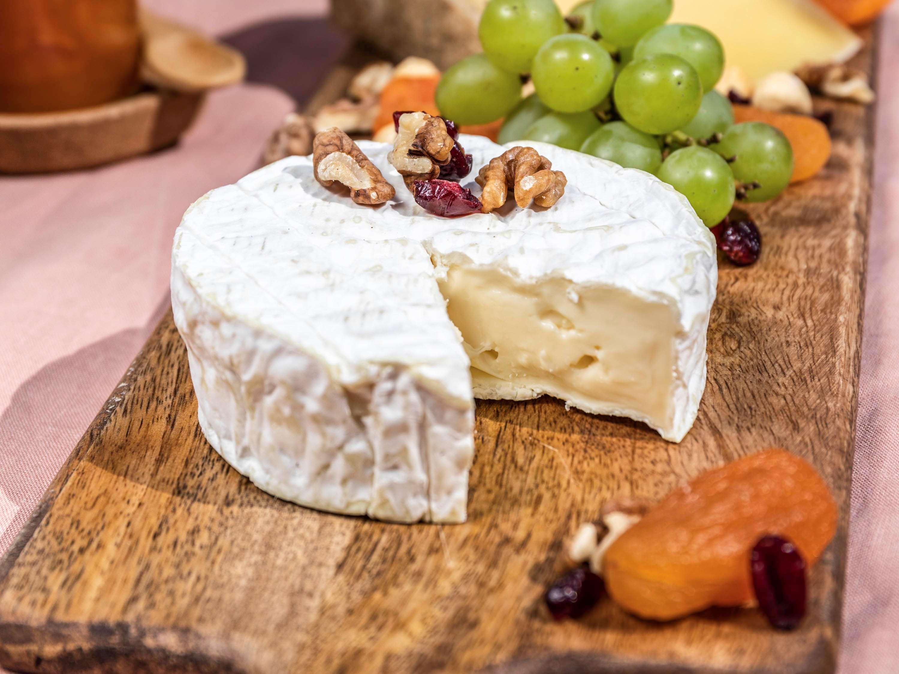 Novotel Chennai Sipcot Exterior foto Camembert cheese